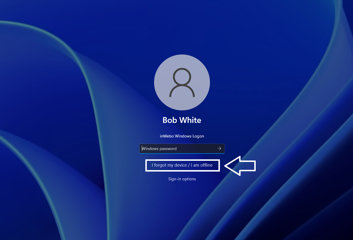 WL_Windowscredentialsbis.png